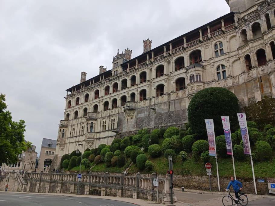 Appartamento T2 Cosy A Deux Pas De La Loire Blois Esterno foto